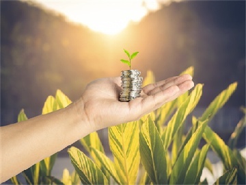 慕思股份的困境：5亿红利落入实控人囊中，转型却步履维艰
